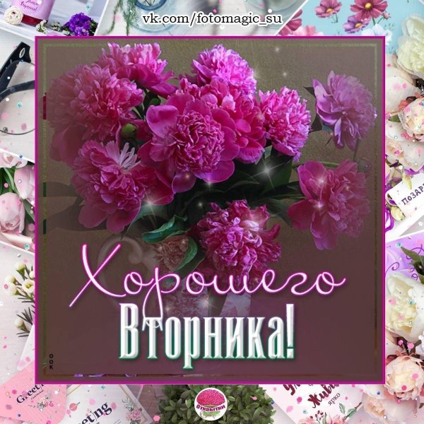 открытка со вторником