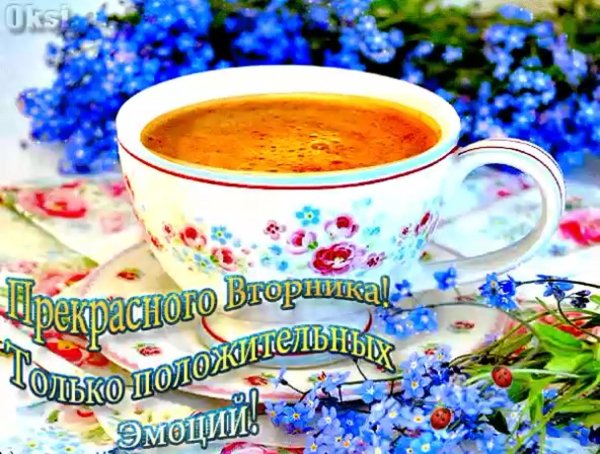 доброе утро вторника хорошего дня и прекрасного настроения