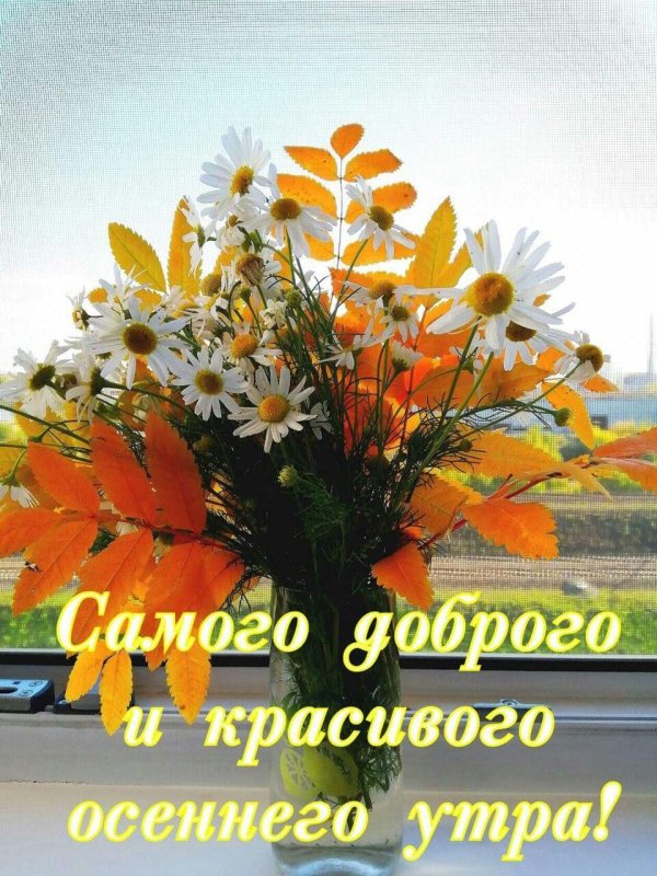 доброе красивое осеннее утро