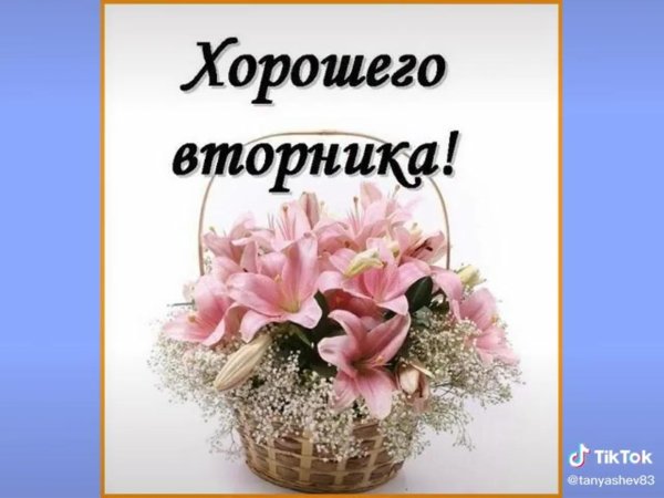 поздравление со вторником