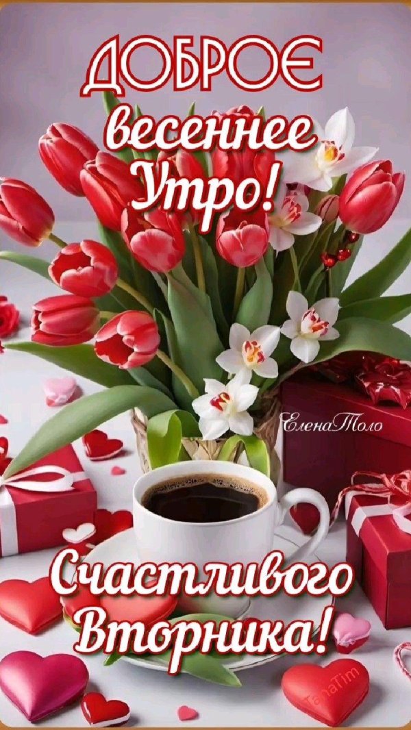 доброе утро вторник красивые