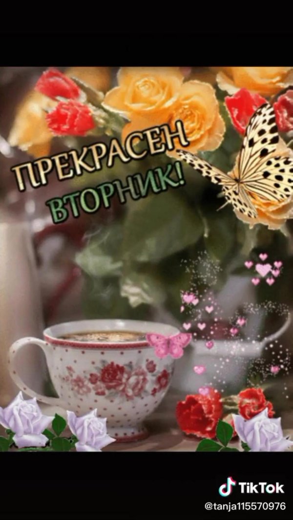 доброе утро вторник красивые