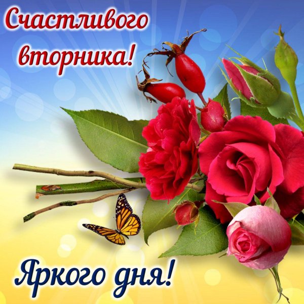 поздравление со вторником