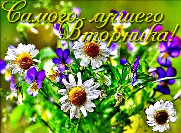 добрые пожелания