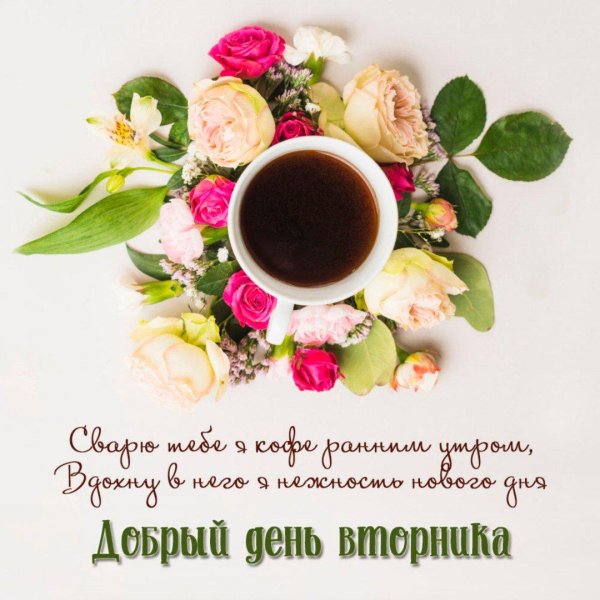 доброе утро вторника хорошего дня и прекрасного настроения