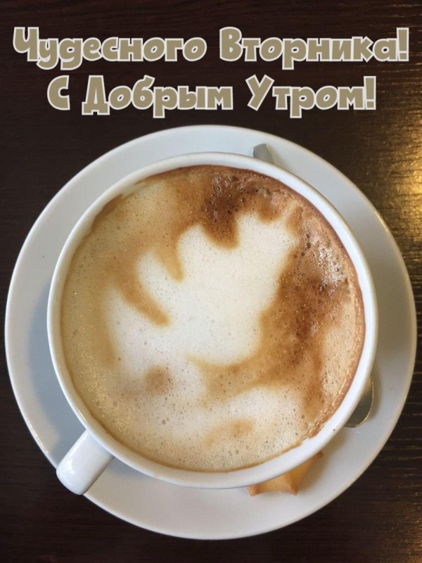 доброго утра вторника прикольные