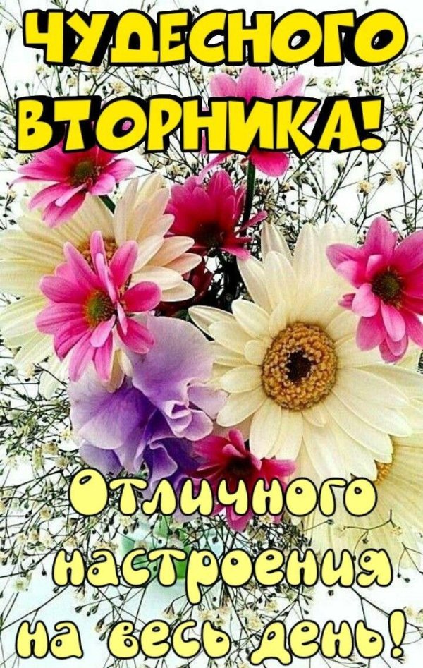 отличного вторника