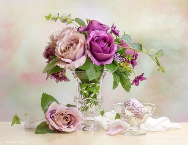 фотонатюрморты светланы лебедевой