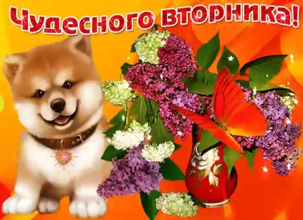 чудесного вторника