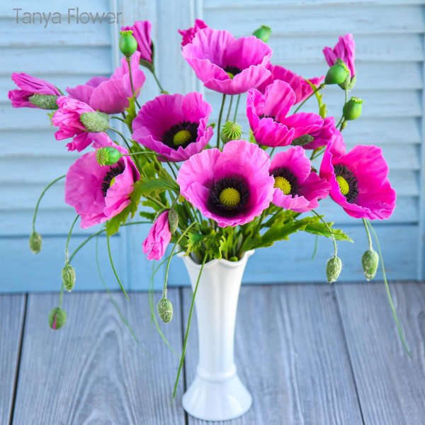 цветки мака