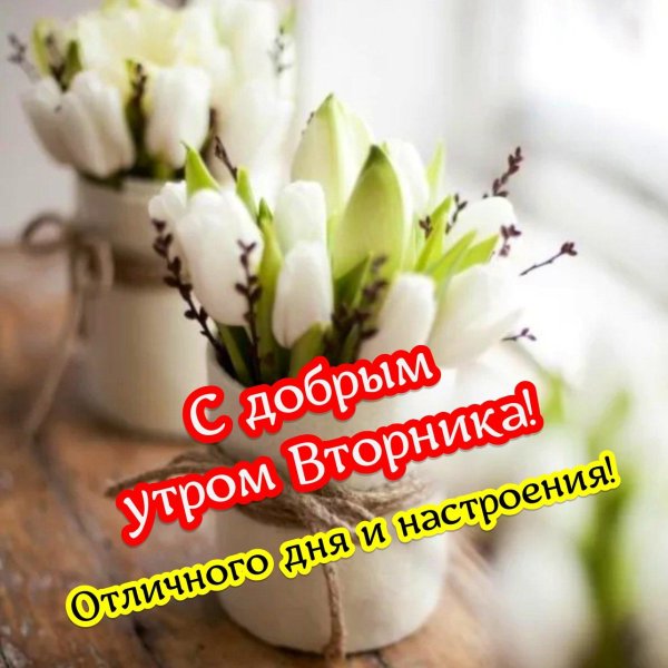 доброго утра вторник