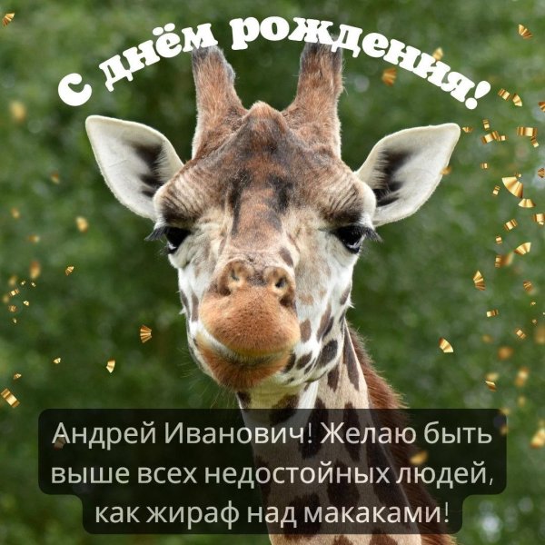 поздравление с днём рождения андрей прикольные