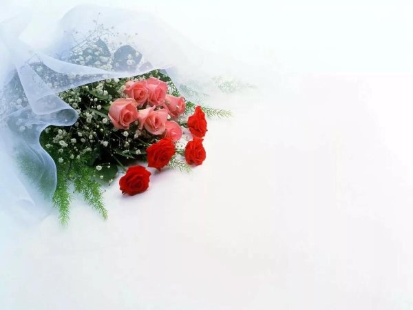 фон для поздравительной открытки