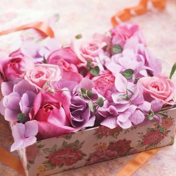 цветы в коробке