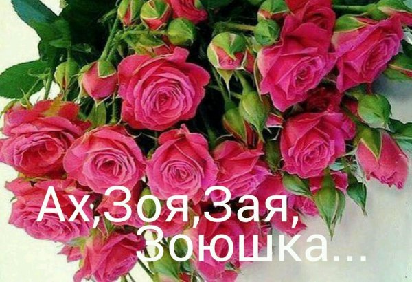 цветок имени зоя