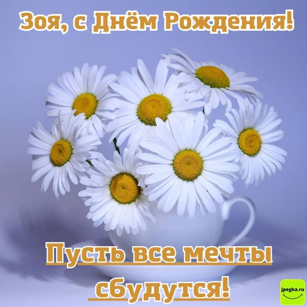 открытка с ромашками