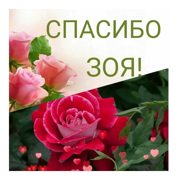 спасибо зоечка