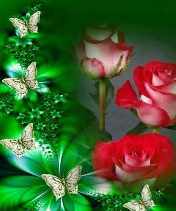 imágenes de flores hermosas