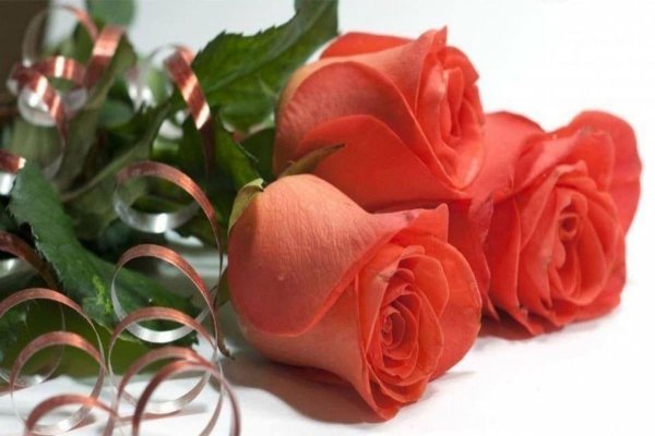 с 8 марта роза