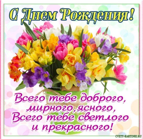 фрезия нарциссы