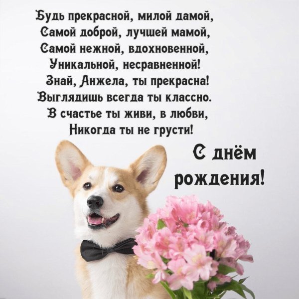 вельш корги