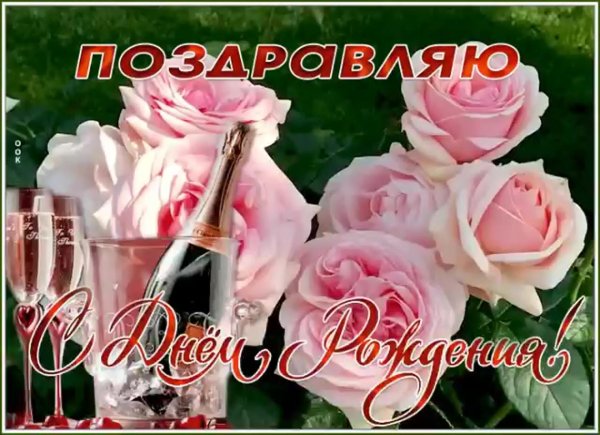 день рождения женщине красивые поздравления