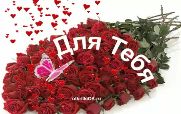 цветы для ириши