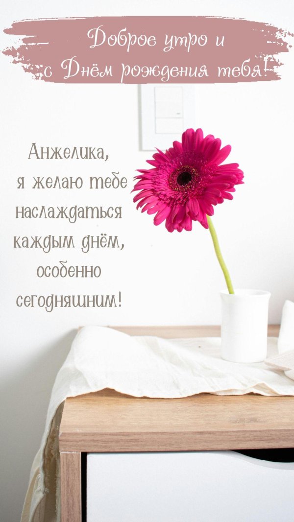 гербера мариатта