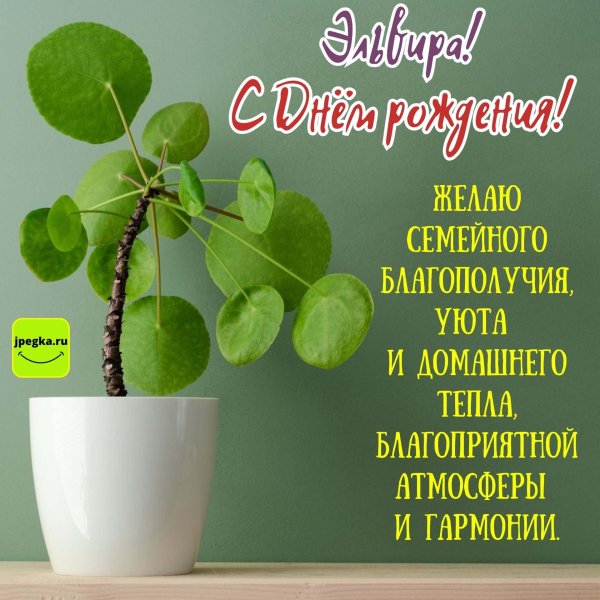 растения фон