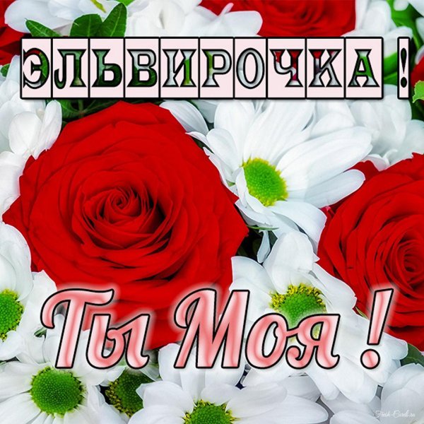эльвирочка с днём рождения открытки красивые