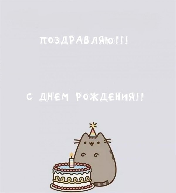 кот пушин др