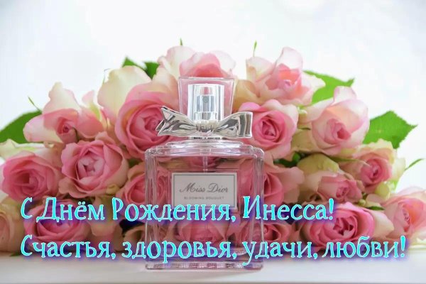мисс диор роза