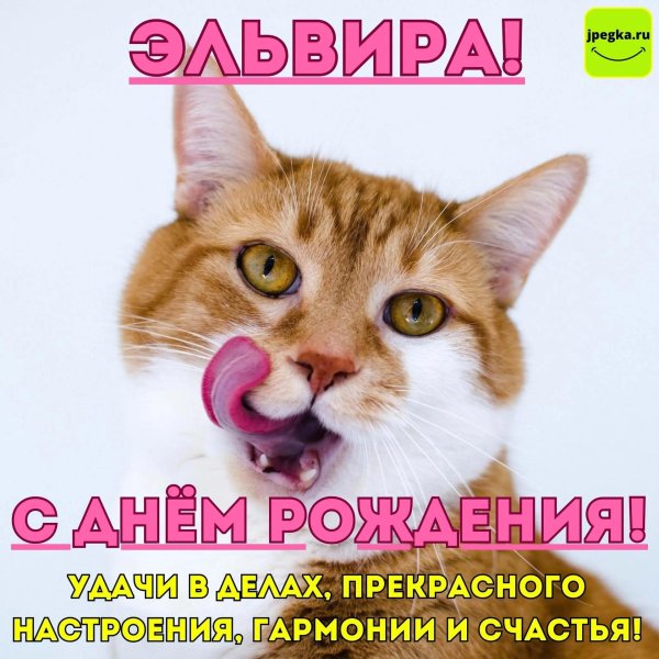 альфия с днем рождения