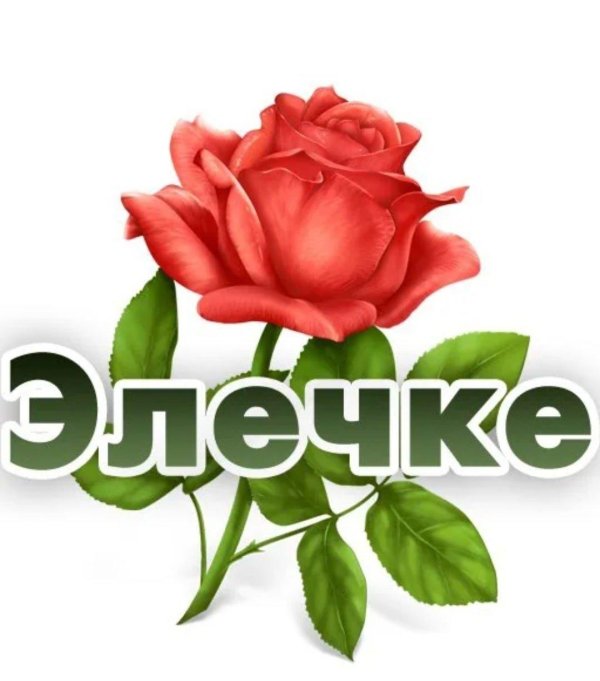 цветы для эли