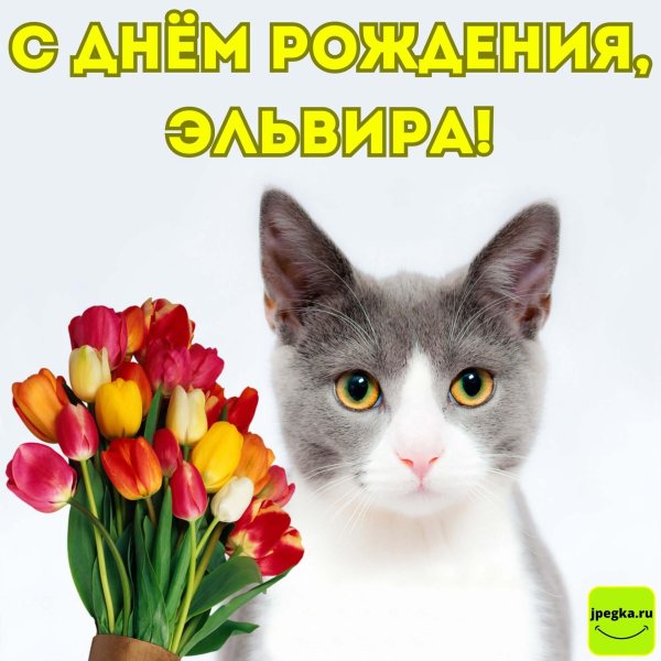 с днем рождения эльвир
