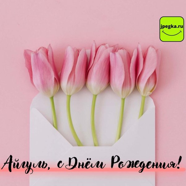 розовые тюльпаны