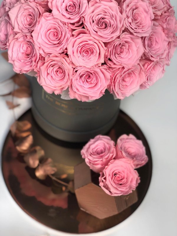 шляпная коробка