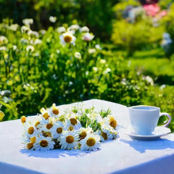 доброе июньское утречко