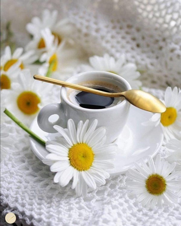 ромашки и кофе