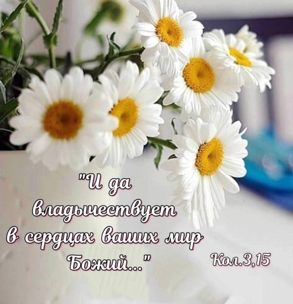 обильных божьих благословений