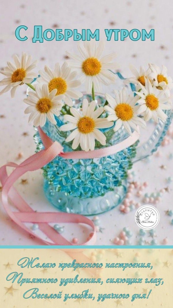 летнее утро доброе