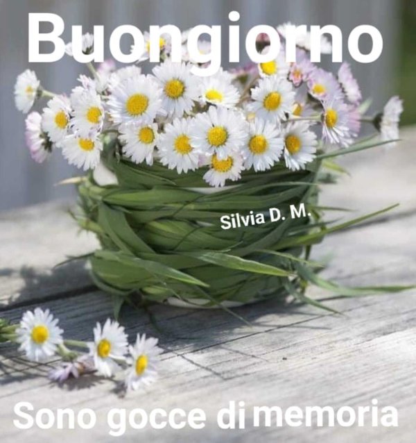buongiorno immagini