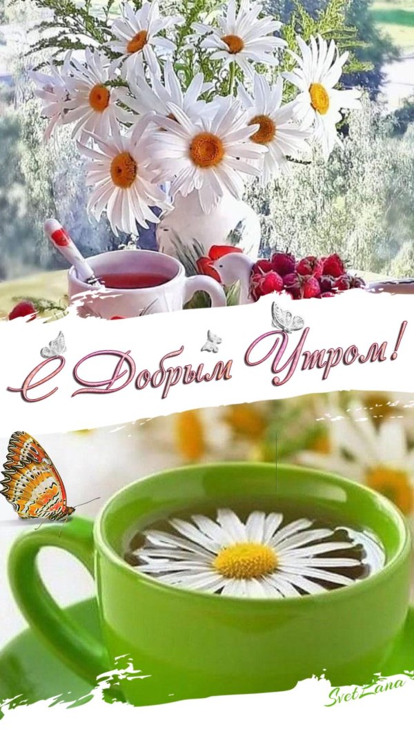 летние открытки с добрым утром