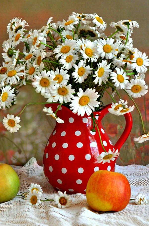 букет ромашек