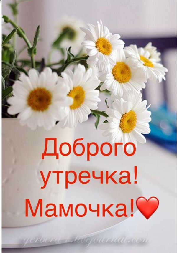 доброго утра с ромашками