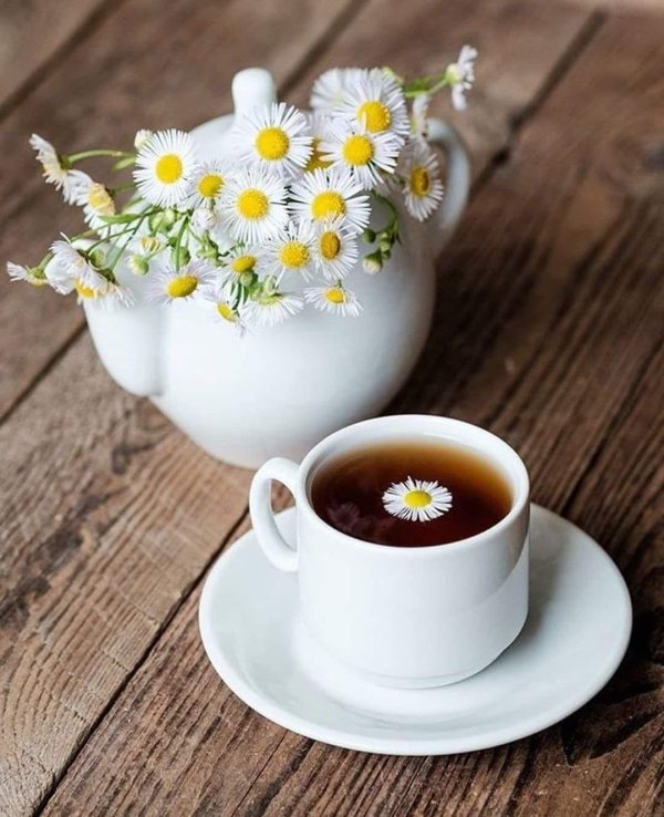 ромашковый чай