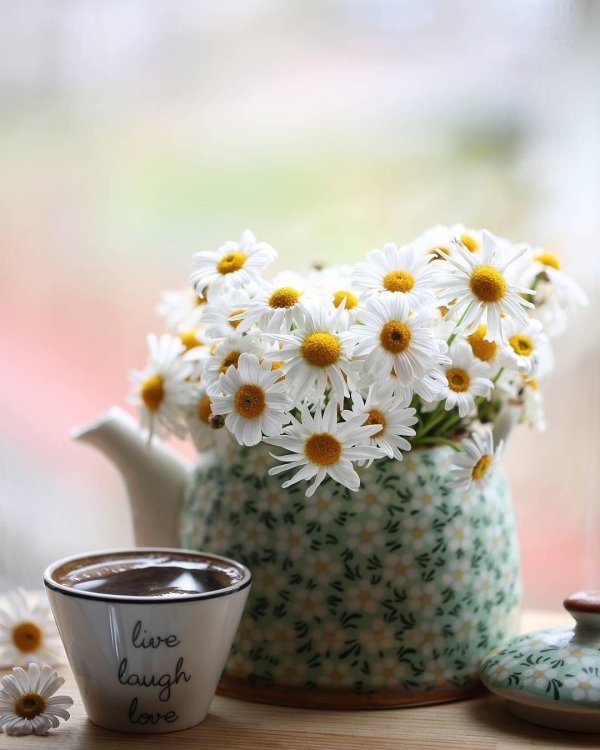 доброго утра счастья