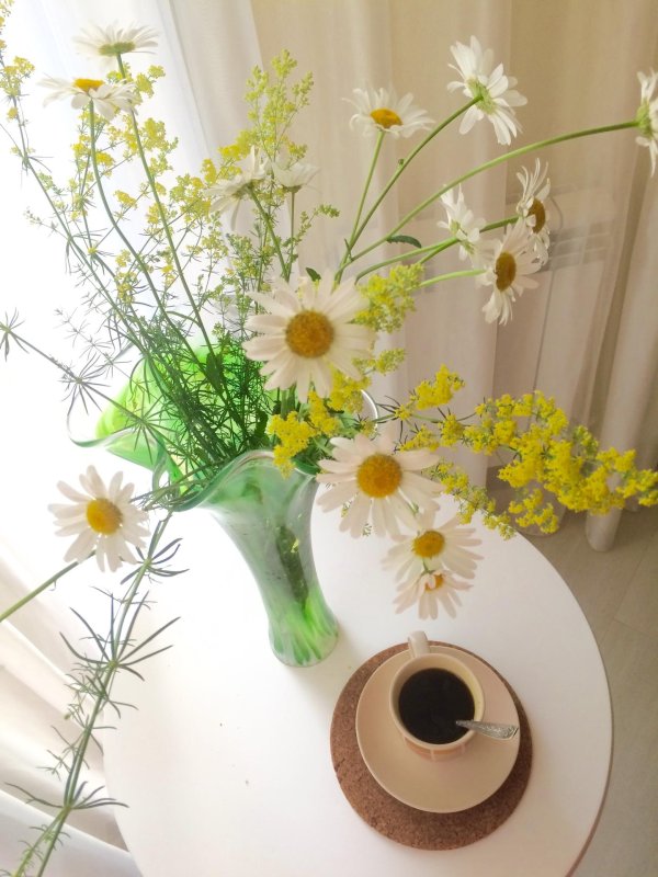 ромашки в интерьере