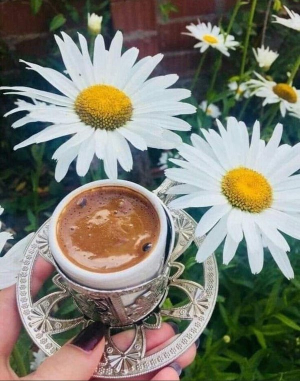 доброе утро лето кофе