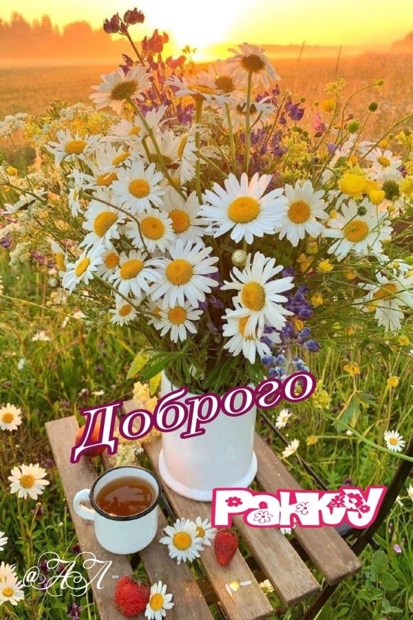 утро доброе летнее